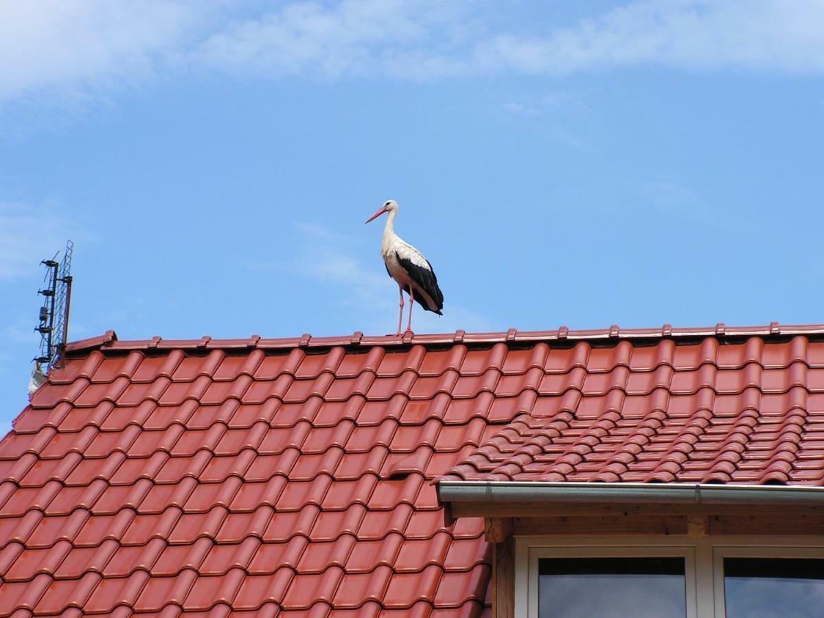 Winnica Na Lesnej Polanie Zabor Kültér fotó